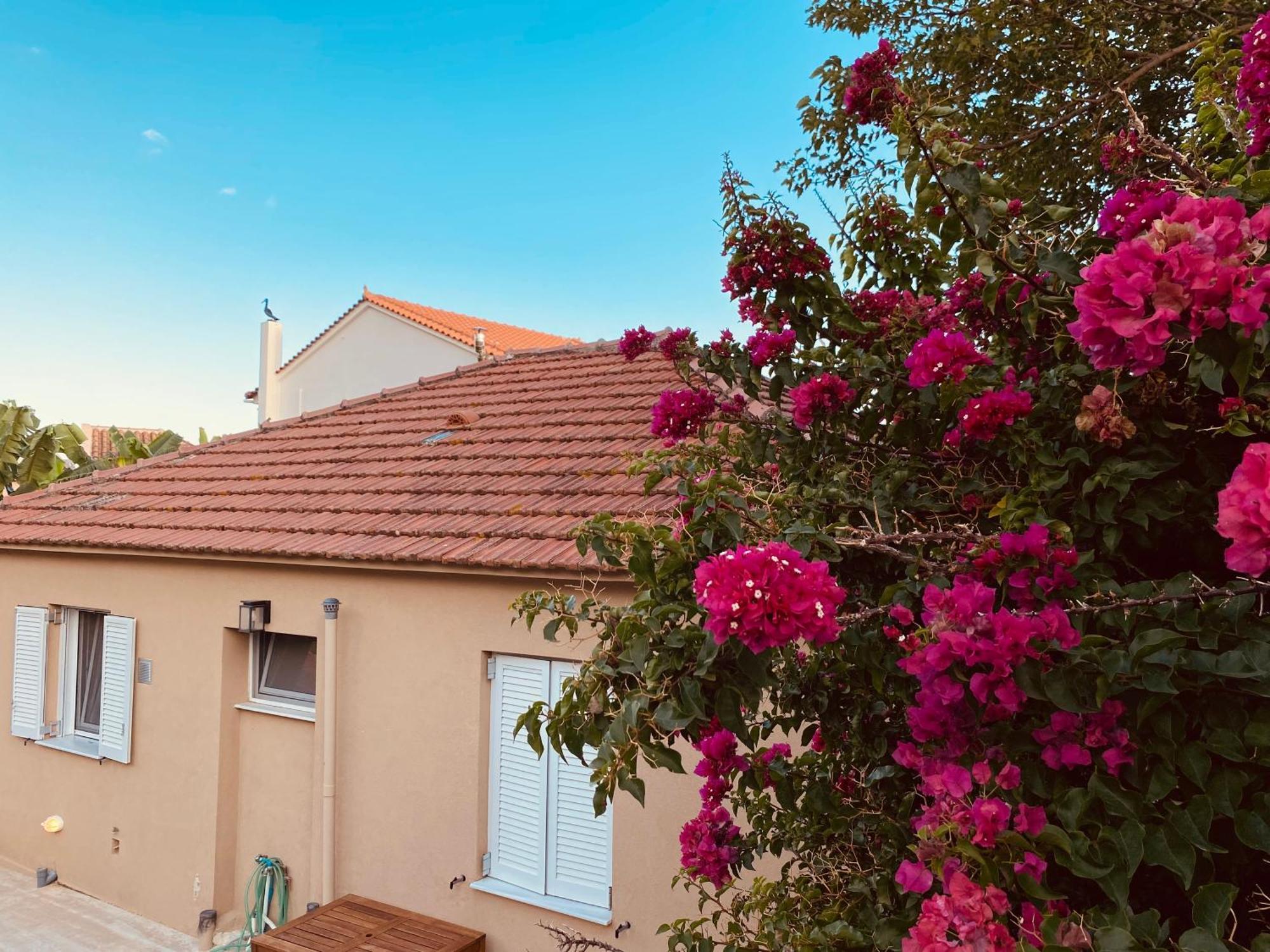 Katoικια Villa Lourdata  Buitenkant foto